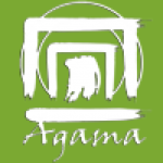 www.agamaconsultoria.com-logo.png