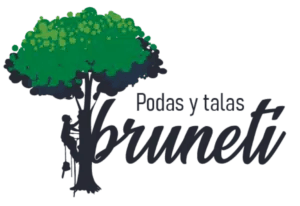 www.podasytalasbruneti.es-logo.png