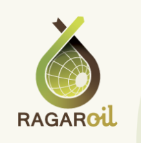 LOGO RAGARoil.PNG