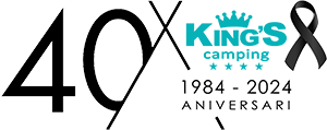www.campingkings.com-logo.png