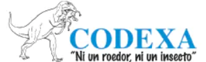 www.ddd-codexa.com-logo.png