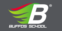 www.buscatrans.es-logo.png