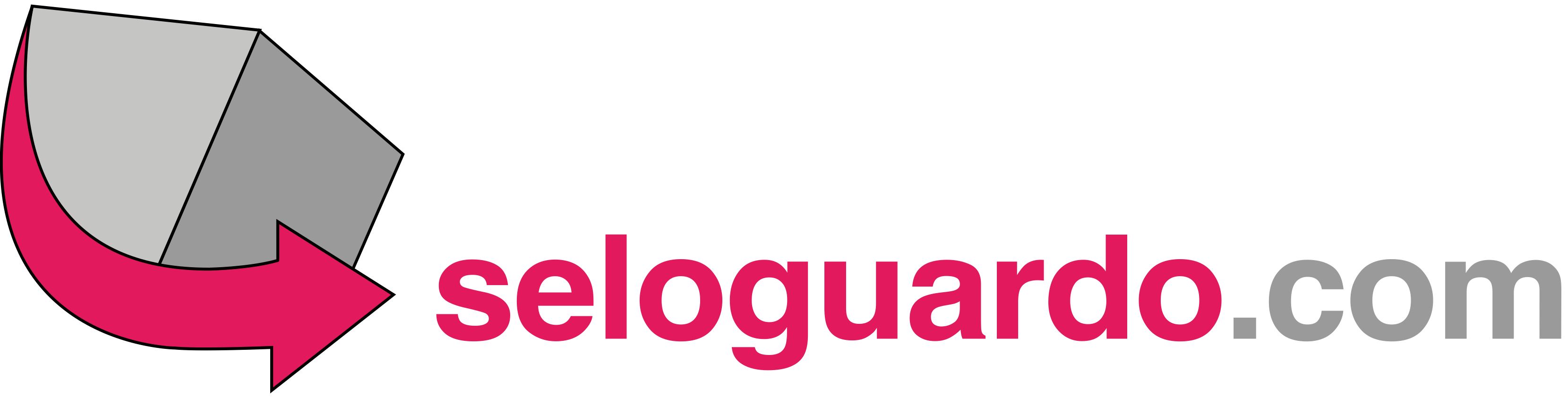 seloguardo (2).png