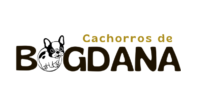 cachorros de bogdana.PNG
