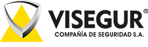 www.visegur.com-logo.png